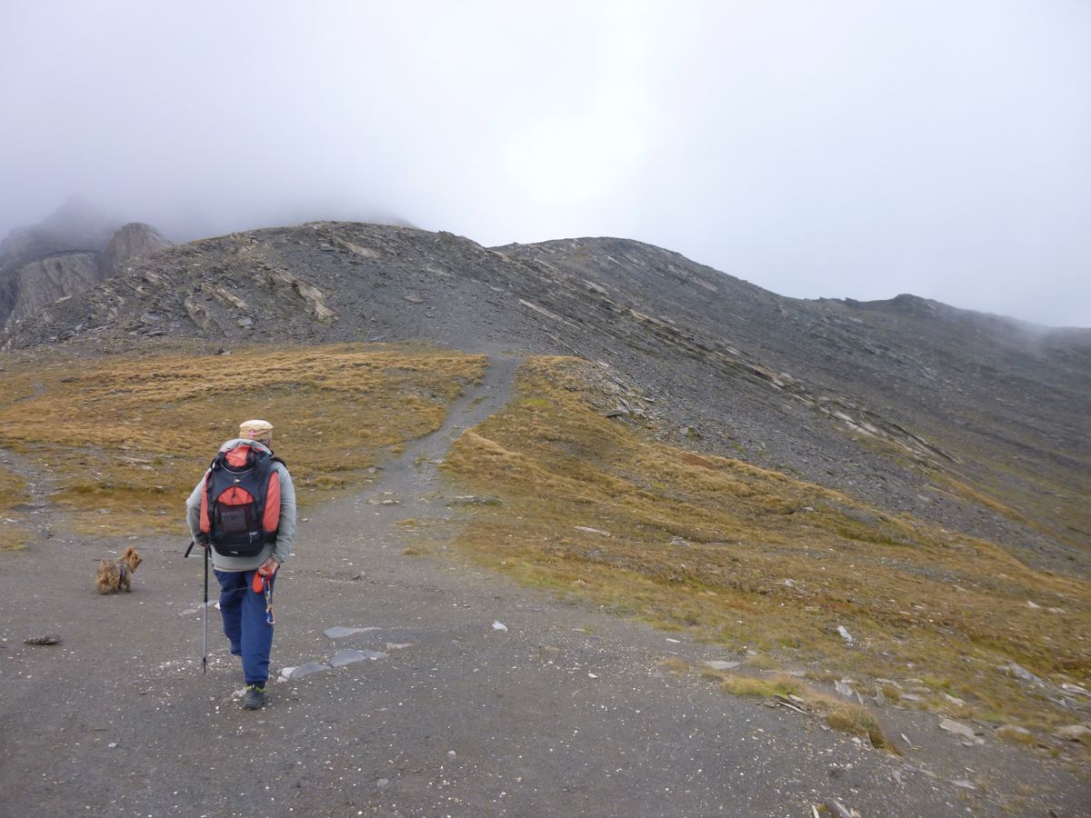 Col d'Agnel : Pain de Sucre
