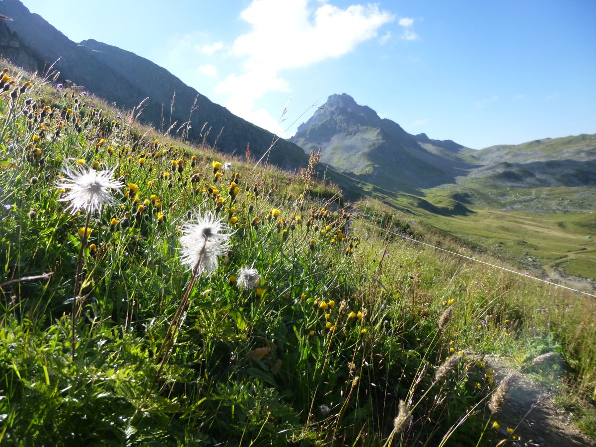 Col du Joly Rando Col de la Fenêtre
