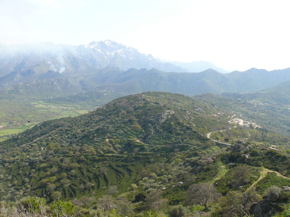 Sant-Antonino
