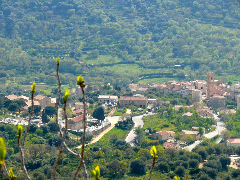 Sant-Antonino
