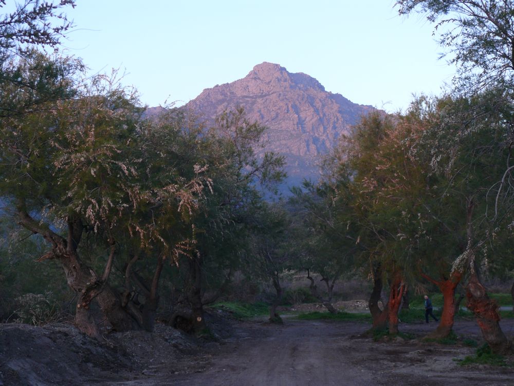 Bivouac marine d'Albo