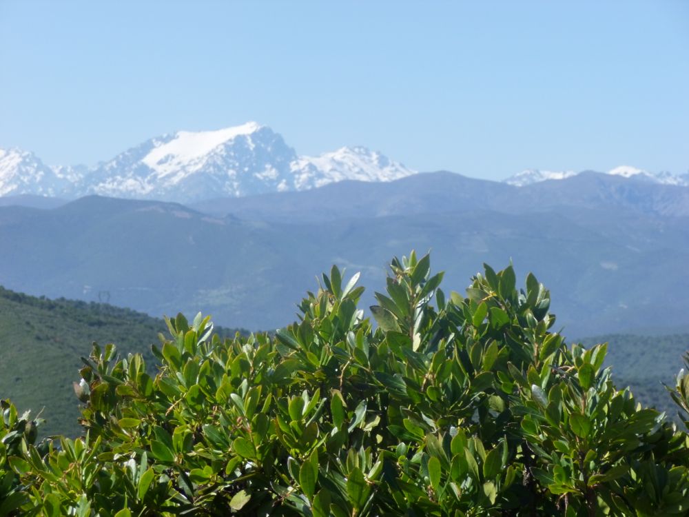 Bocca Di Vezzu