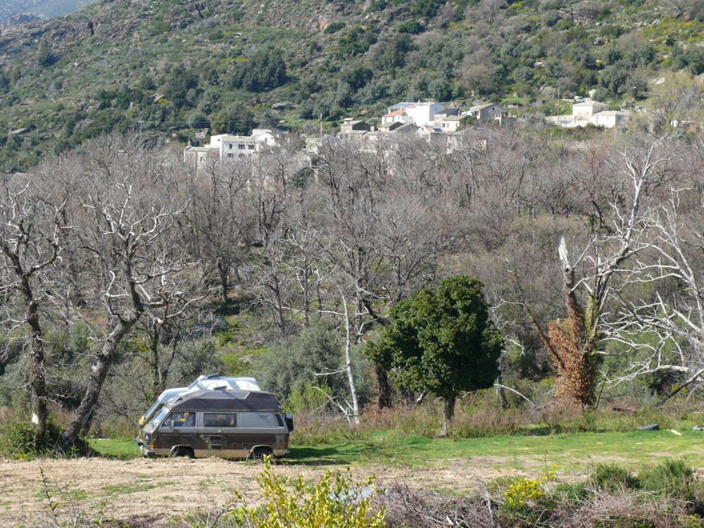 Olcani