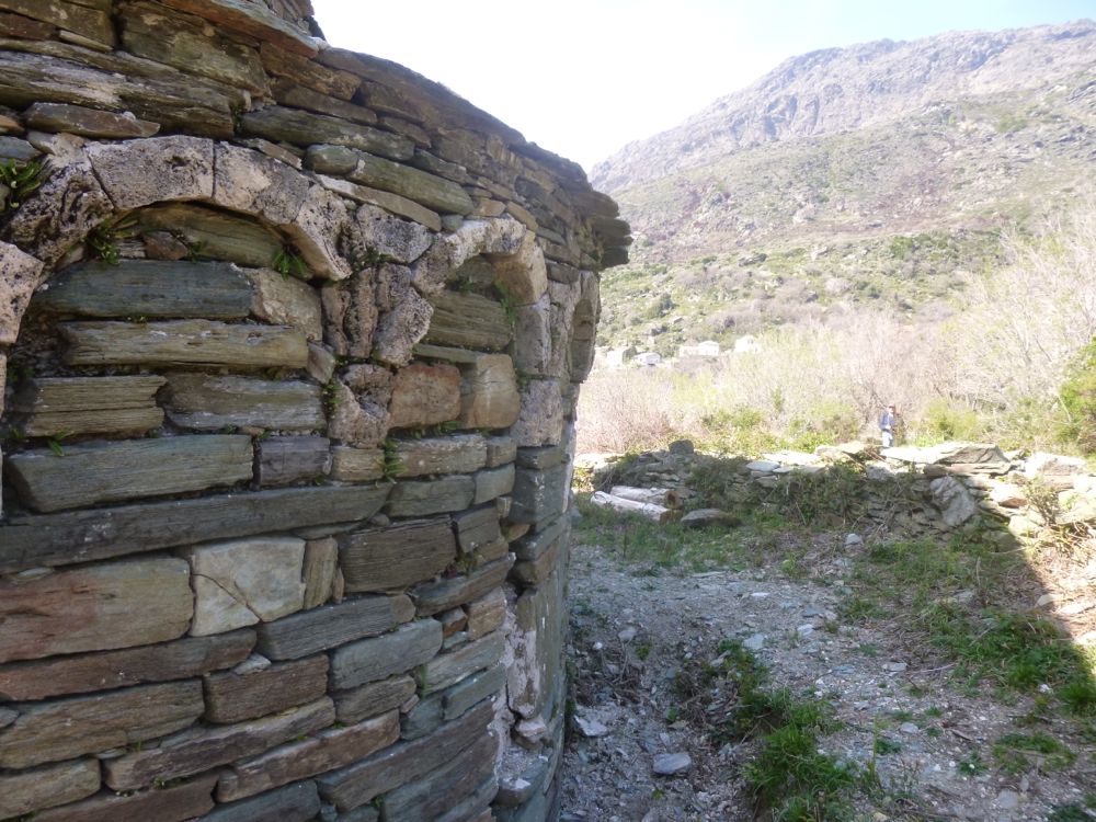 Olcani
