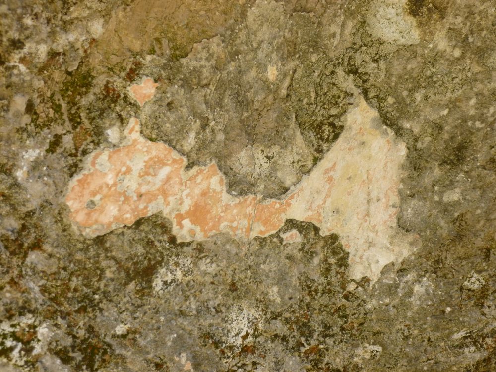 Olcani