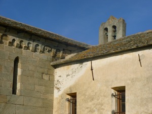 Canari
