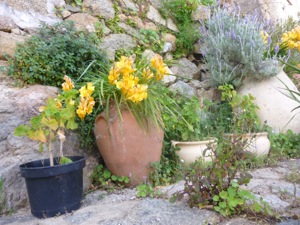 Sant-Antonino