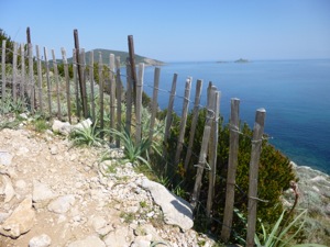 Balade baie de Tamarone