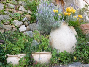 Sant-Antonino