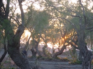 Bivouac marine d'Albo