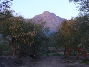 Bivouac marine d'Albo