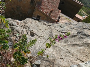 Sant-Antonino