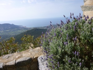 Sant-Antonino