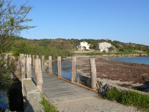 Bivouac plage de Lozari