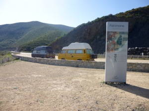 N1197 - Licciola