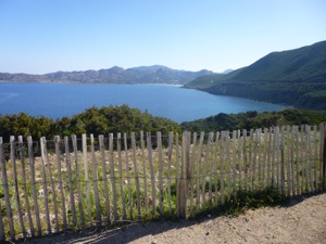 N1197 - Licciola