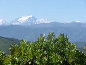 Bocca Di Vezzu
