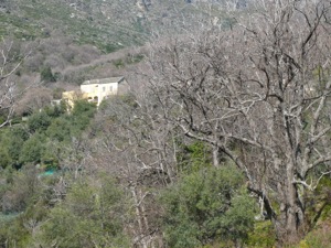 Olcani