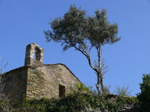 Olcani