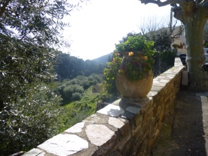 Olcani