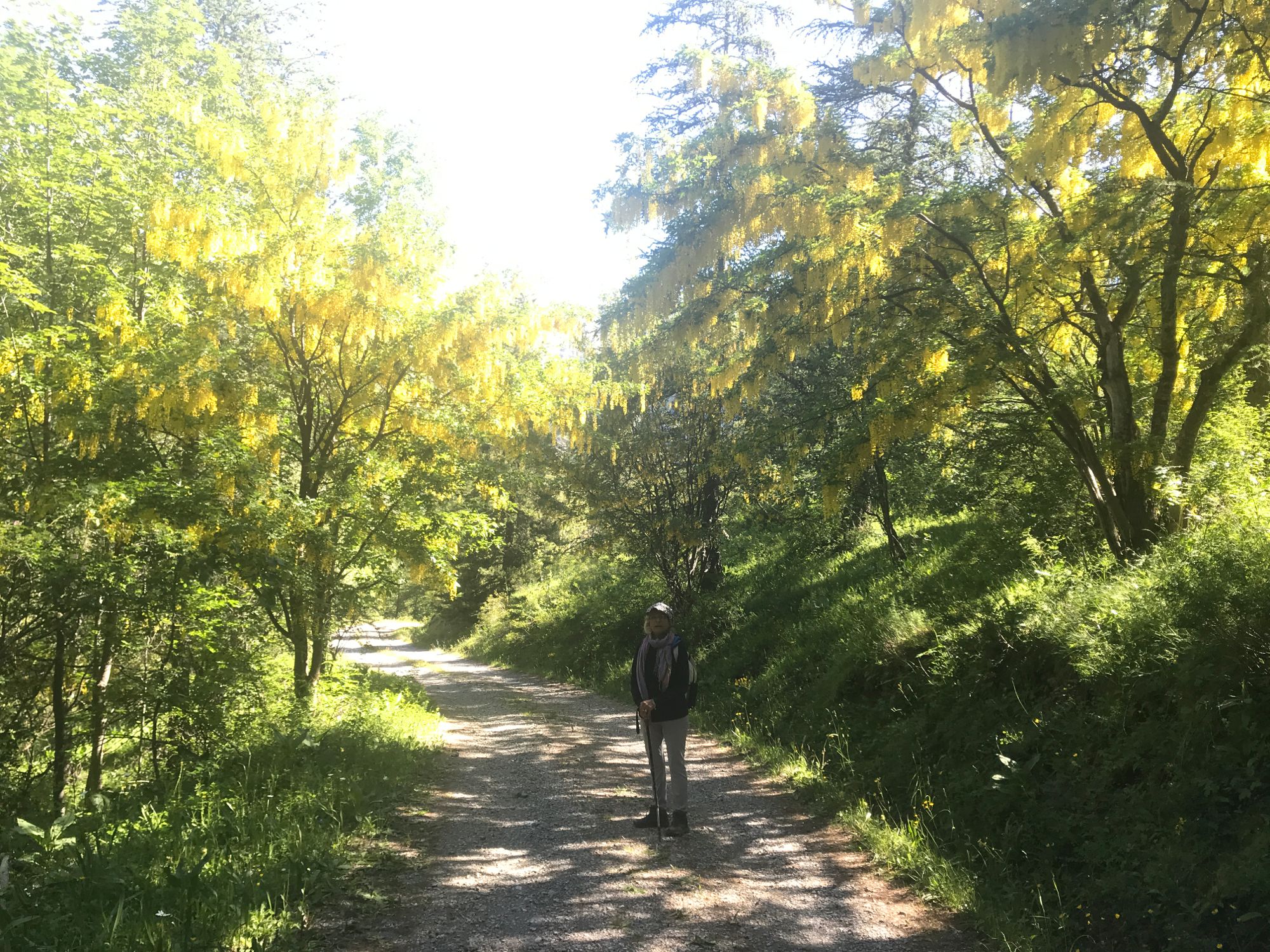 Col de Gleize. Rando vers Chaudun