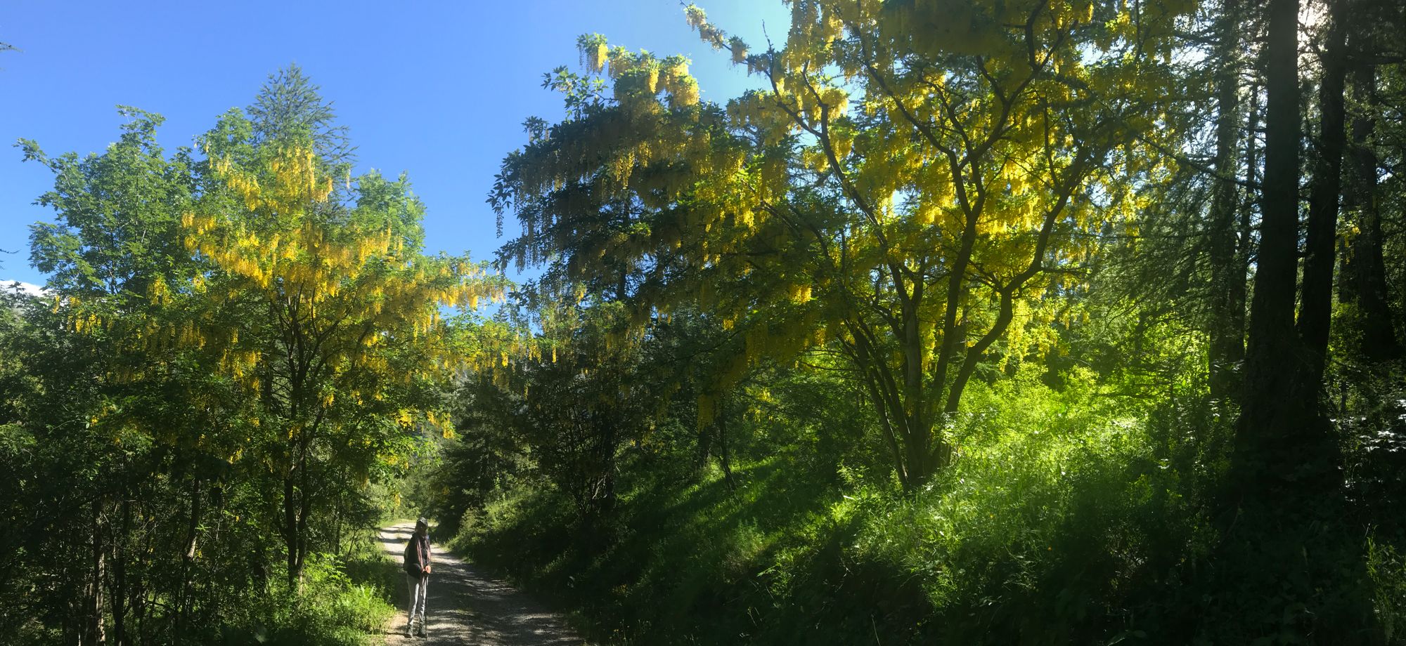 Col de Gleize. Rando vers Chaudun