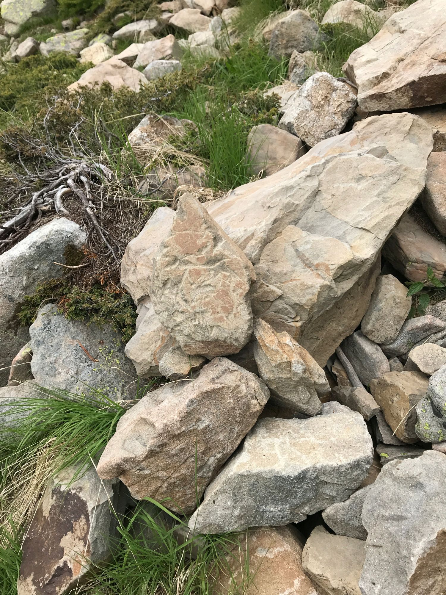 Col Bas, montée vers le fort de Dormillouse