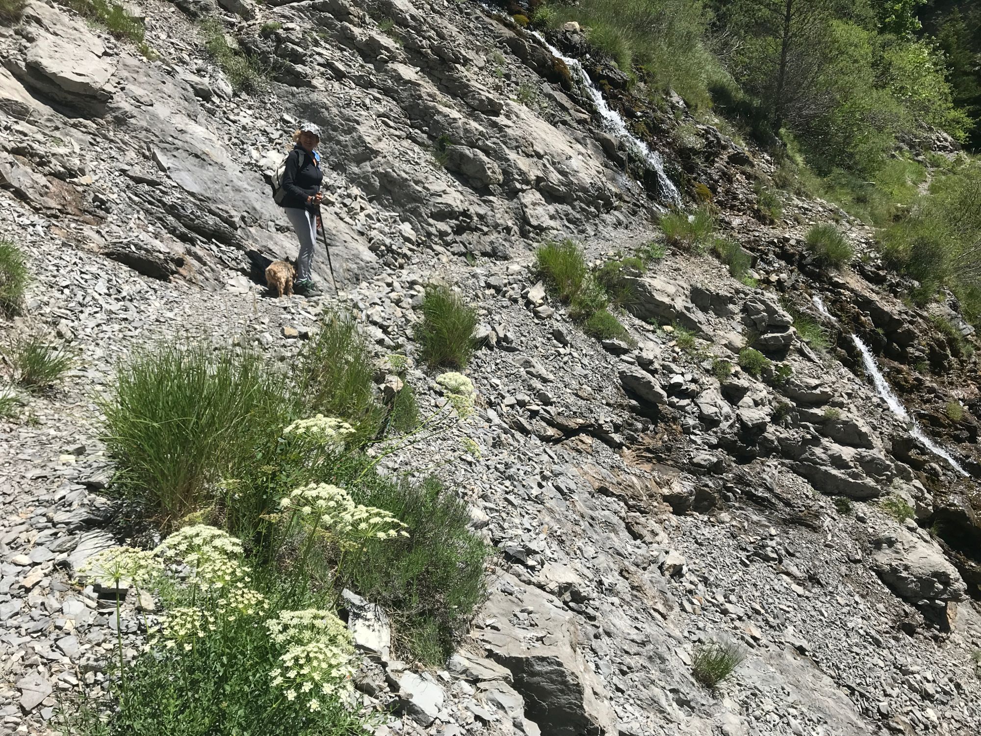 Col de Gleize. Rando de Chaudun, le long du Petit Buëch