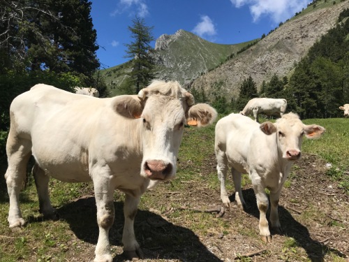 Col de Gleize