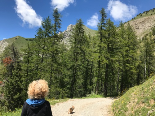 Col de Gleize