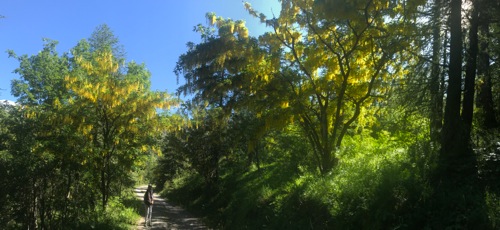 Col de Gleize. Rando vers Chaudun