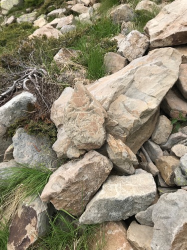 Col Bas, montée vers le fort de Dormillouse