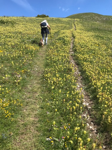 Rando du Col de Gleize en passant par le Col de Guizière