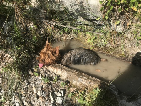 Rando vers Aurent et les Gorges du Coulomp