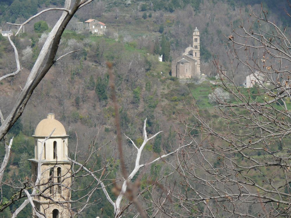route de Valle-d'Orezza