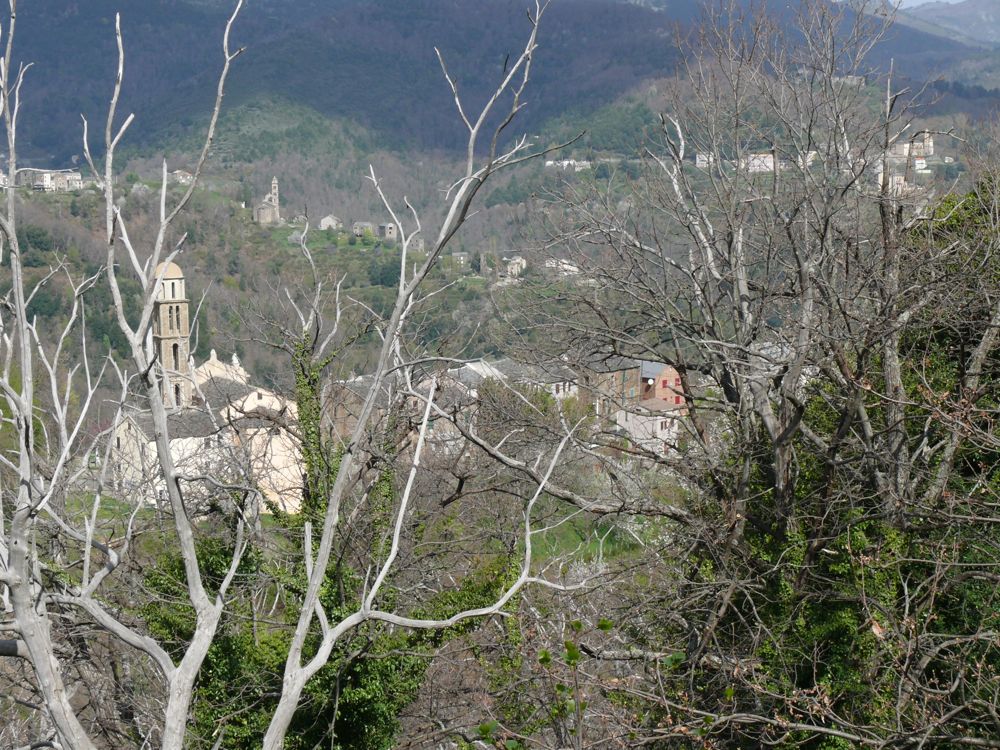 route de Valle-d'Orezza