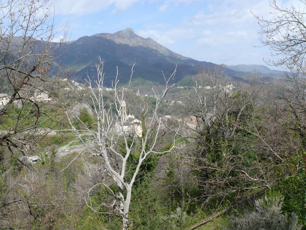 route de Valle-d'Orezza
