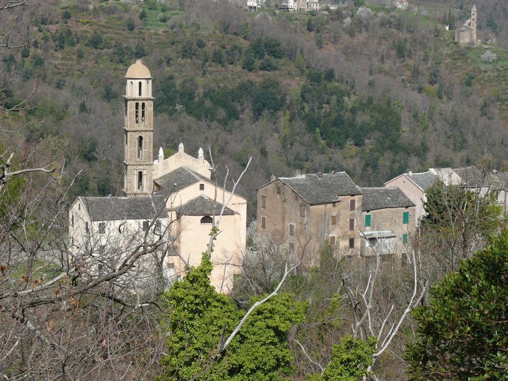 route de Valle-d'Orezza