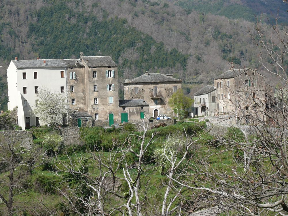 route de Valle-d'Orezza