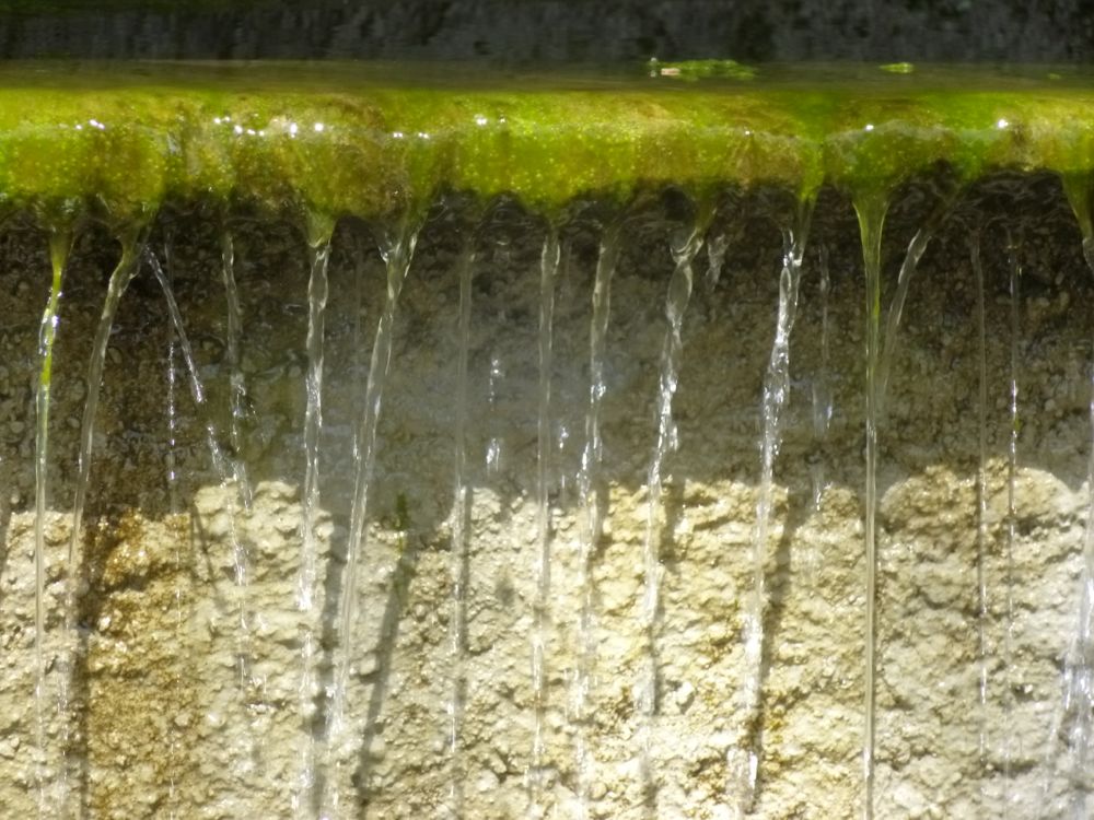 Pique-nique fontaine d'Orezza