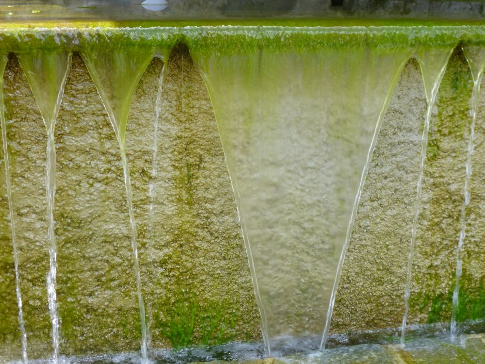 Pique-nique fontaine d'Orezza