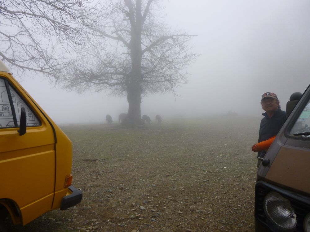 Bivouac route de Loreto di Casinca