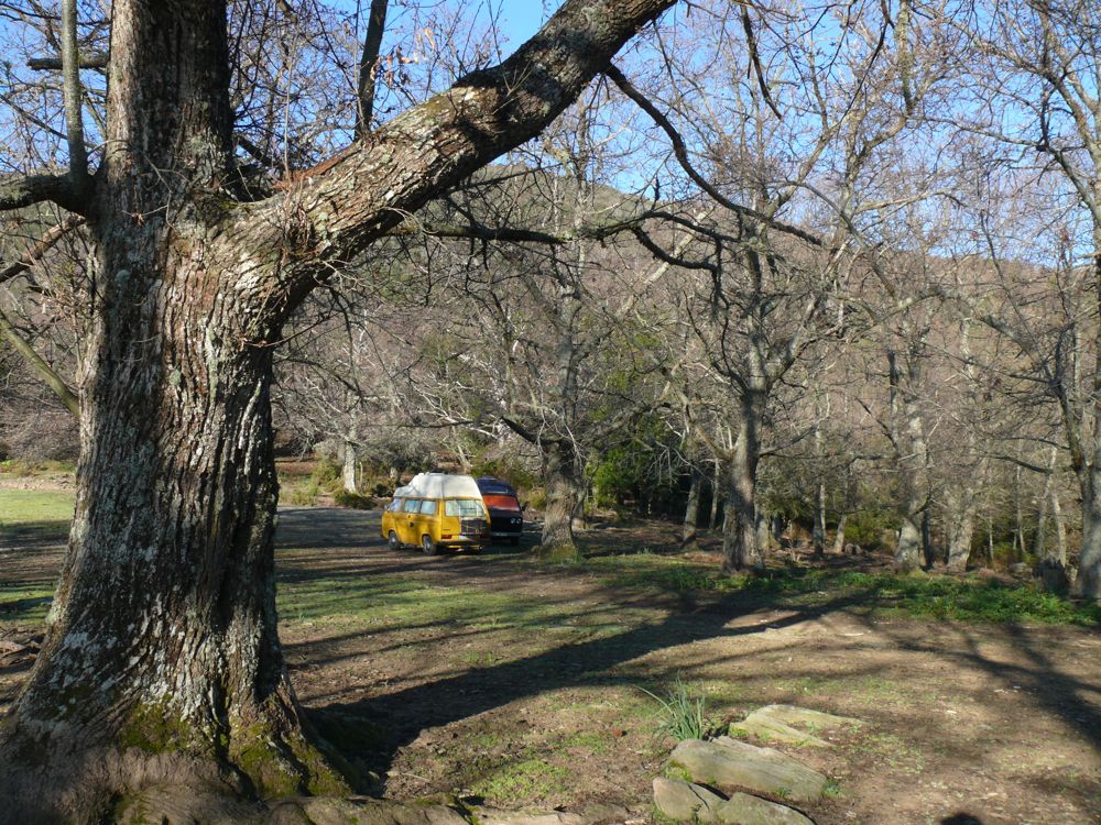 Bivouac route de Loreto di Casinca