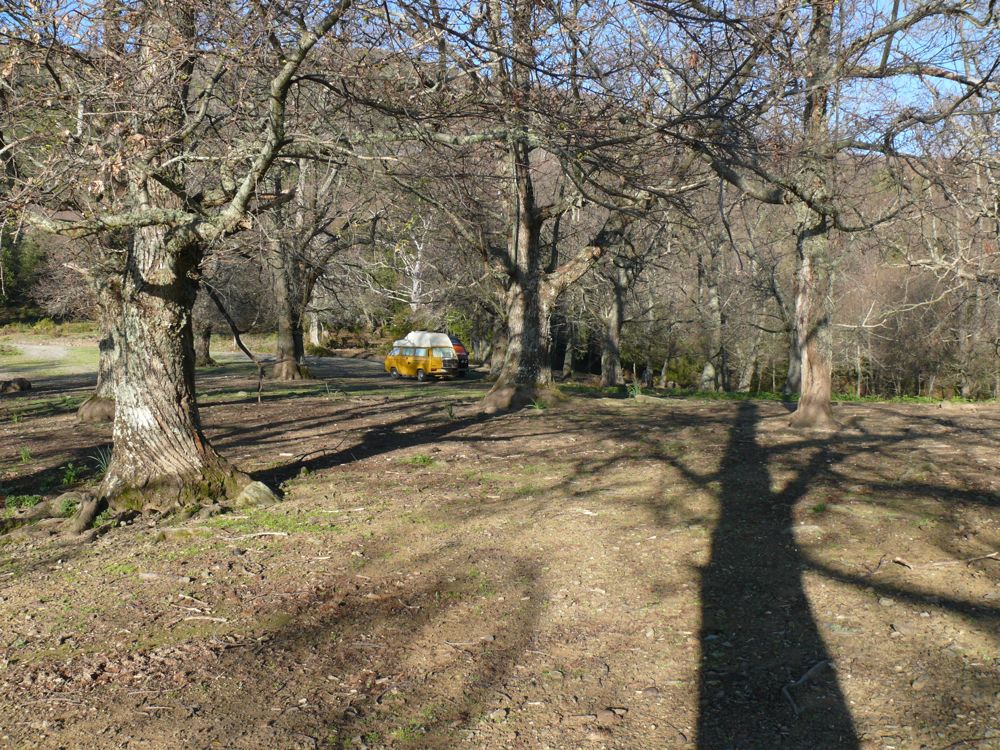 Bivouac route de Loreto di Casinca