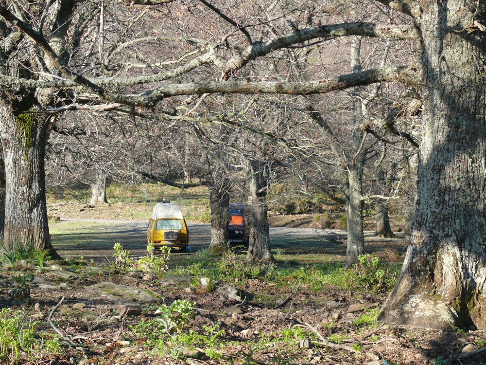 Bivouac route de Loreto di Casinca