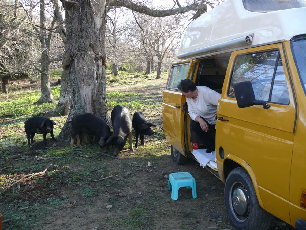 Bivouac route de Loreto di Casinca