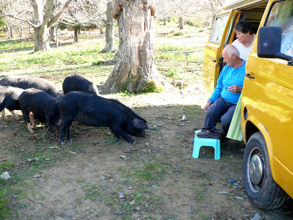 Bivouac route de Loreto di Casinca
