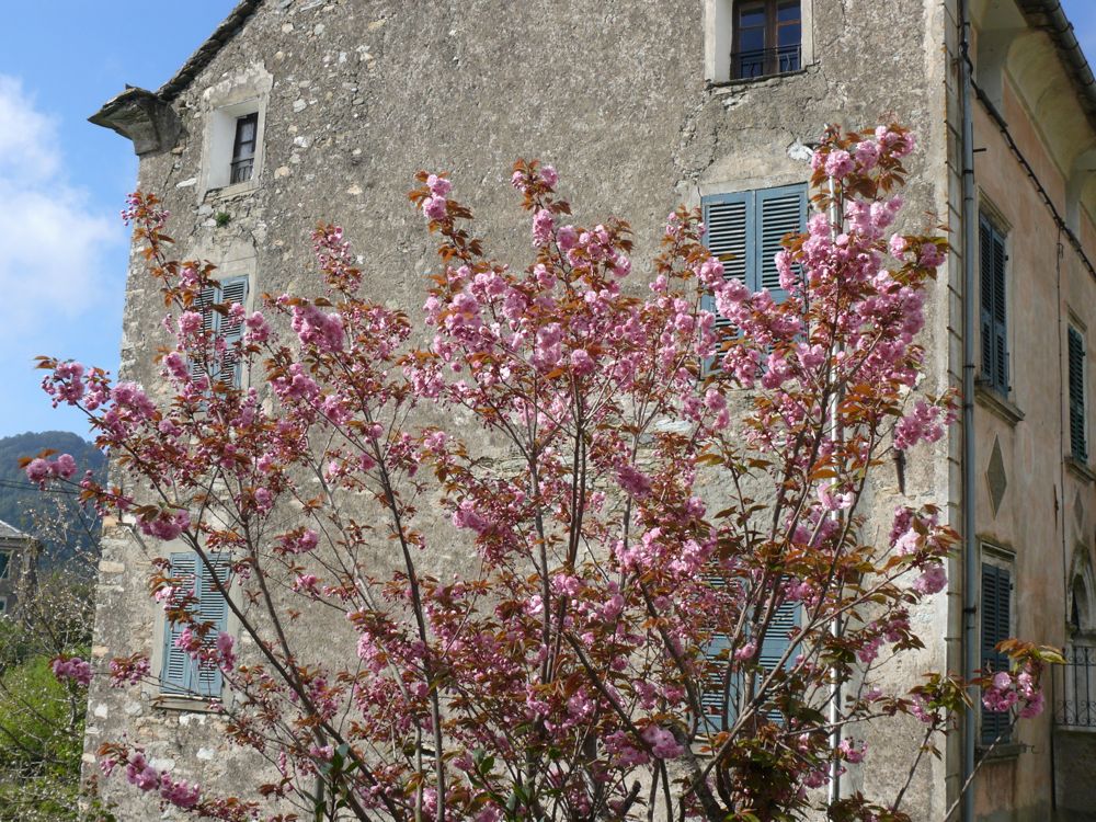 Loreto di Casinca