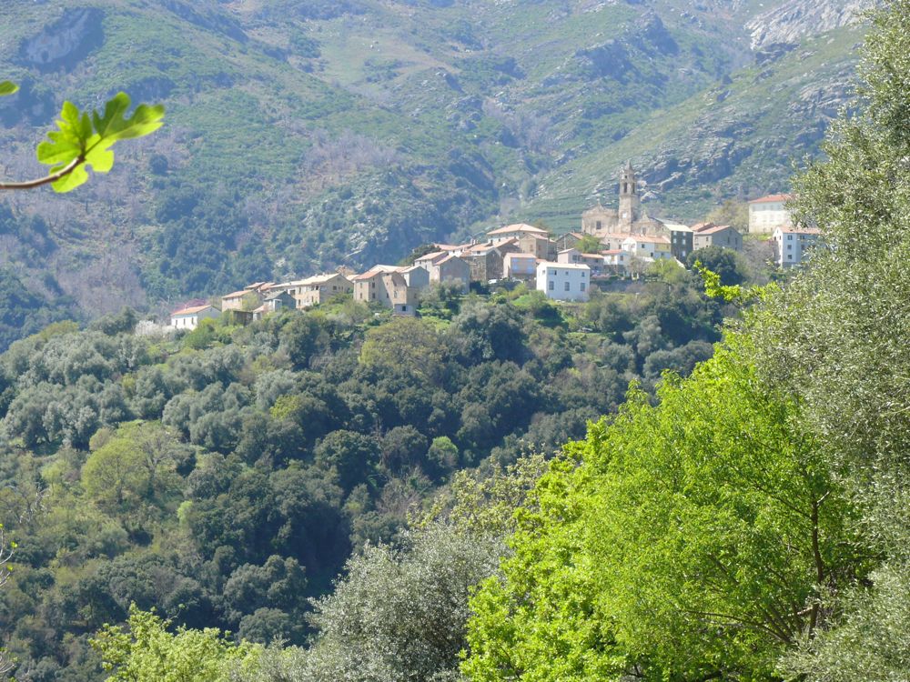 Chapelle San-Pietro couvent St-François chez Mr Popoff