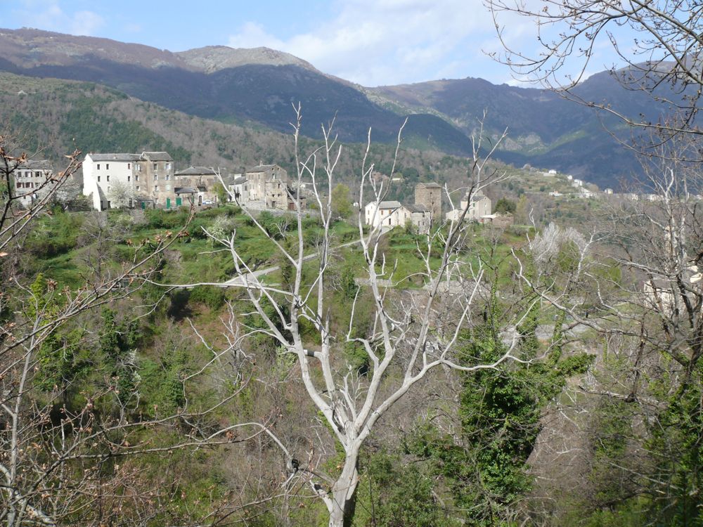 route de Valle-d'Orezza